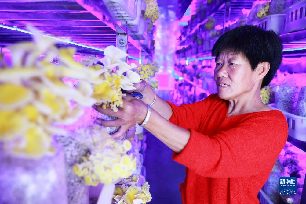 澳门新普京官网